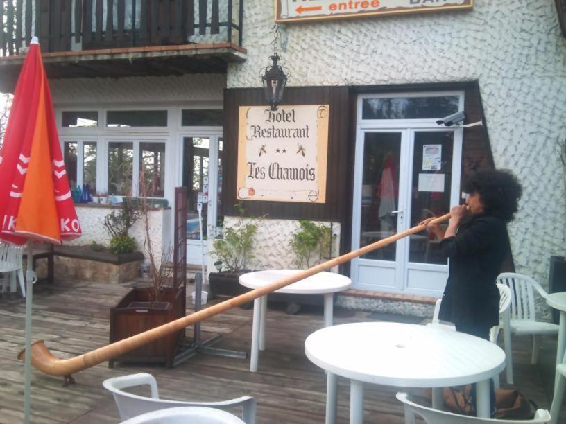 Hôtel Les Chamois La Bollène-Vésubie Exterior foto